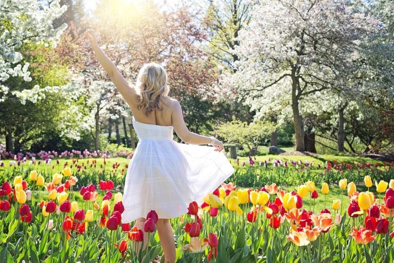 Meteo Puglia Bari : torna la Primavera per il week-end!