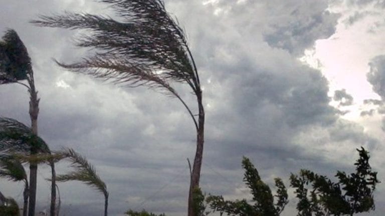 Meteo Bari Puglia previsoni : Crollo termico e vento forte!