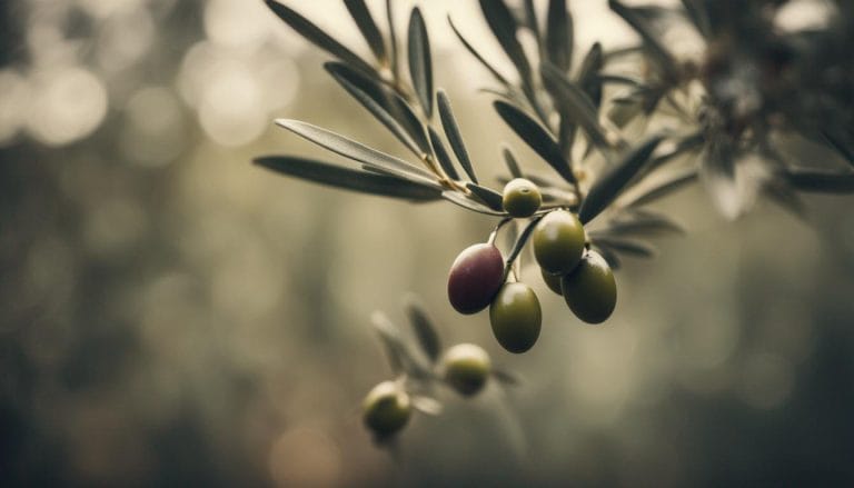 La fiera Evolio Expo è l’occasione per valorizzare l’olio extravergine d’oliva in Puglia