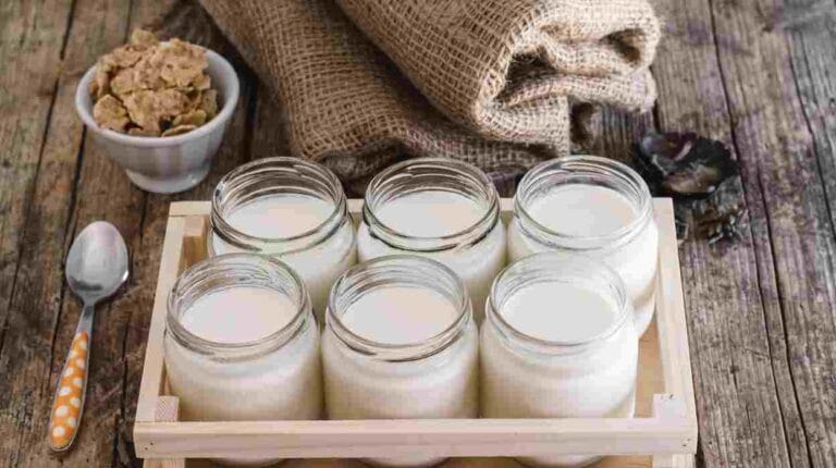 Yogurt naturale o scremato: un alleato ricco di proprietà nutrizionali