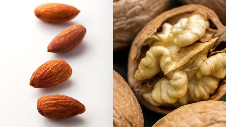 Mangiare noci e mandorle ogni giorno: qual è la giusta alimentazione