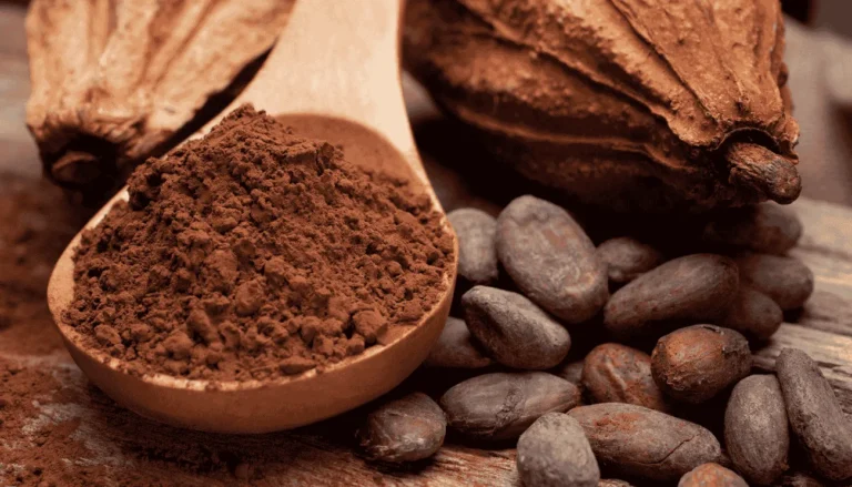 Cacao amaro: tutte le proprietà, i benefici e le controindicazioni