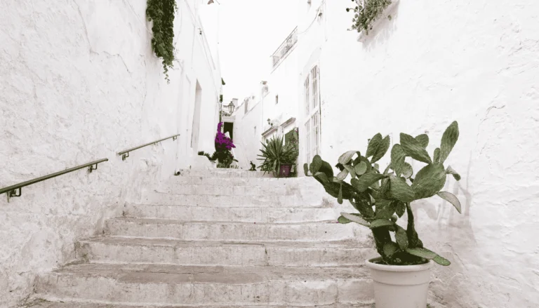 Ostuni su Rai 5: in onda il documentario che racconta i segreti della Città Bianca