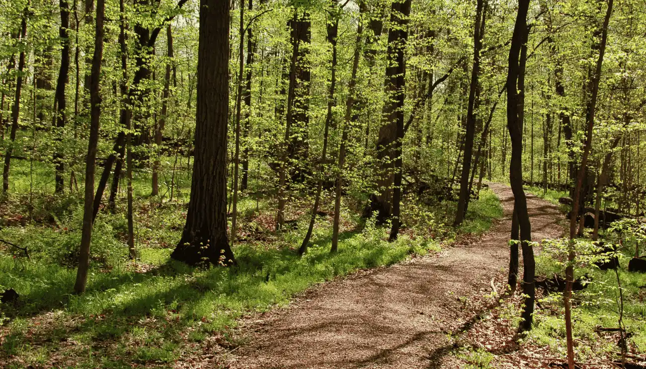 aree picnic in Puglia