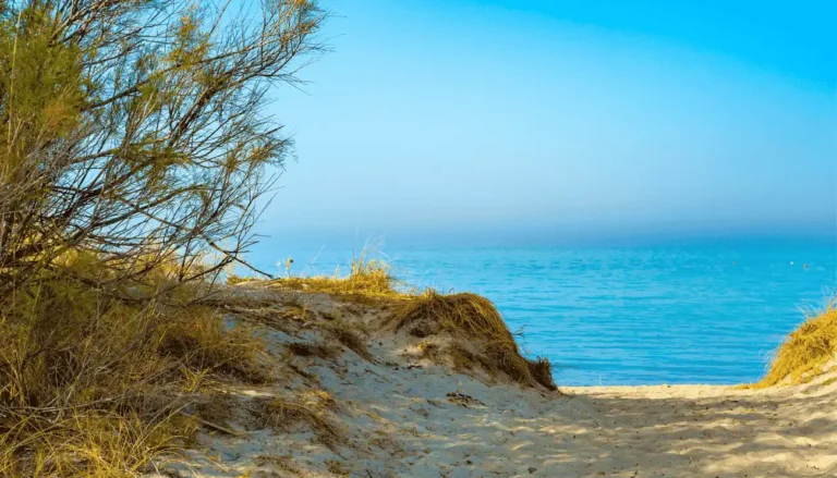 spiagge di torre canne
