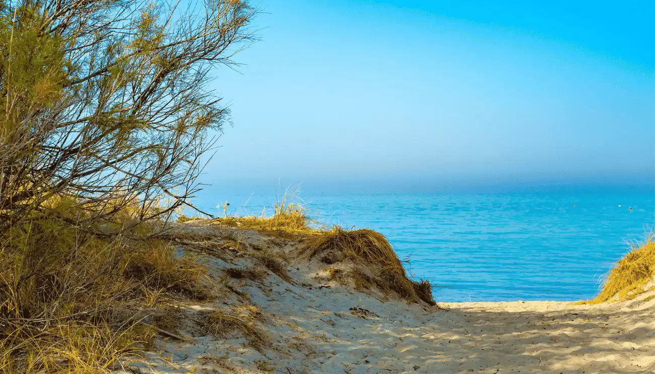 spiagge di torre canne