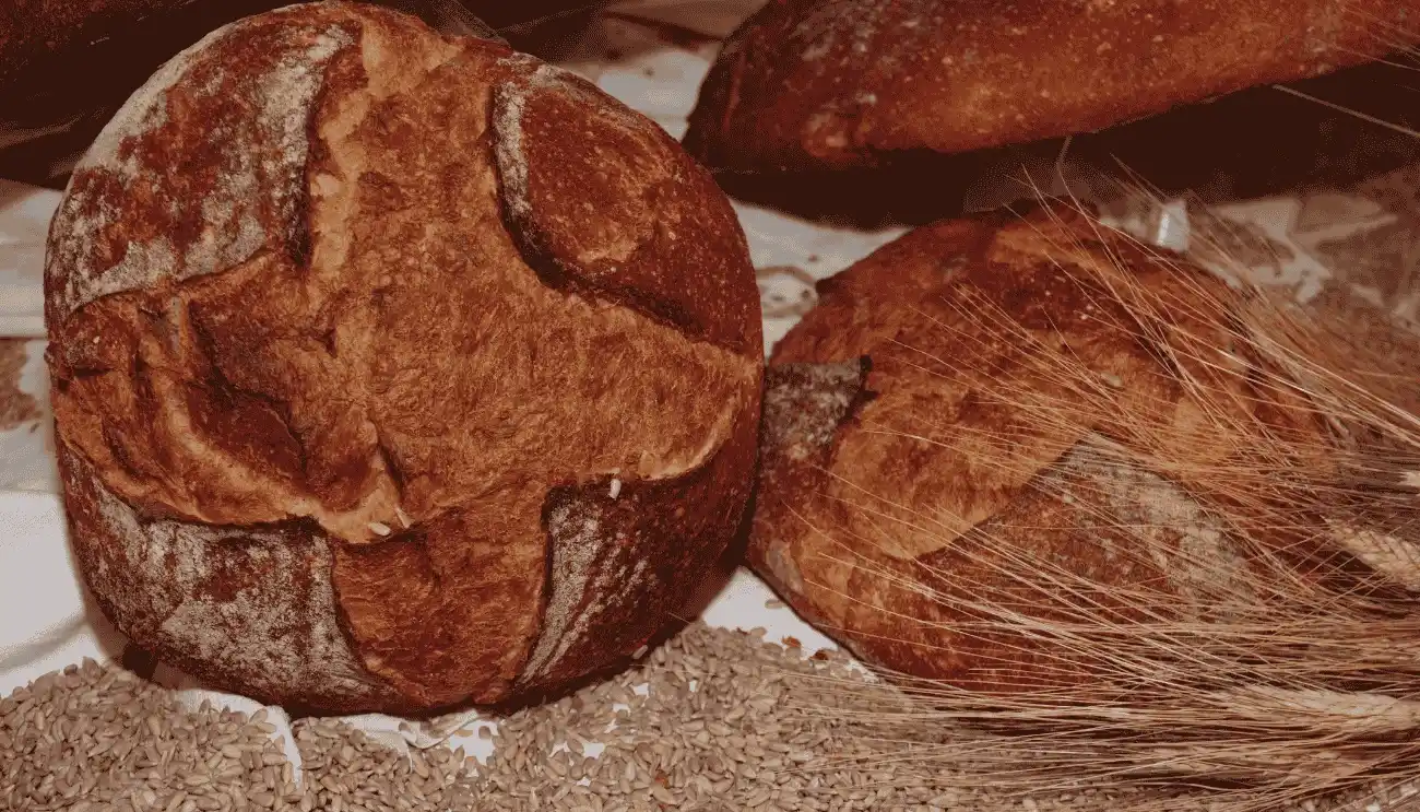 pane di altamura