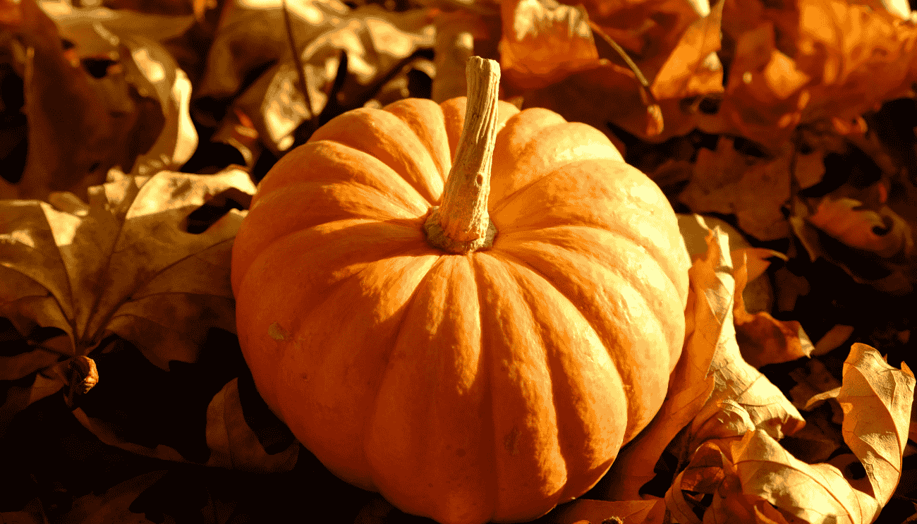 sagre autunno puglia 2025